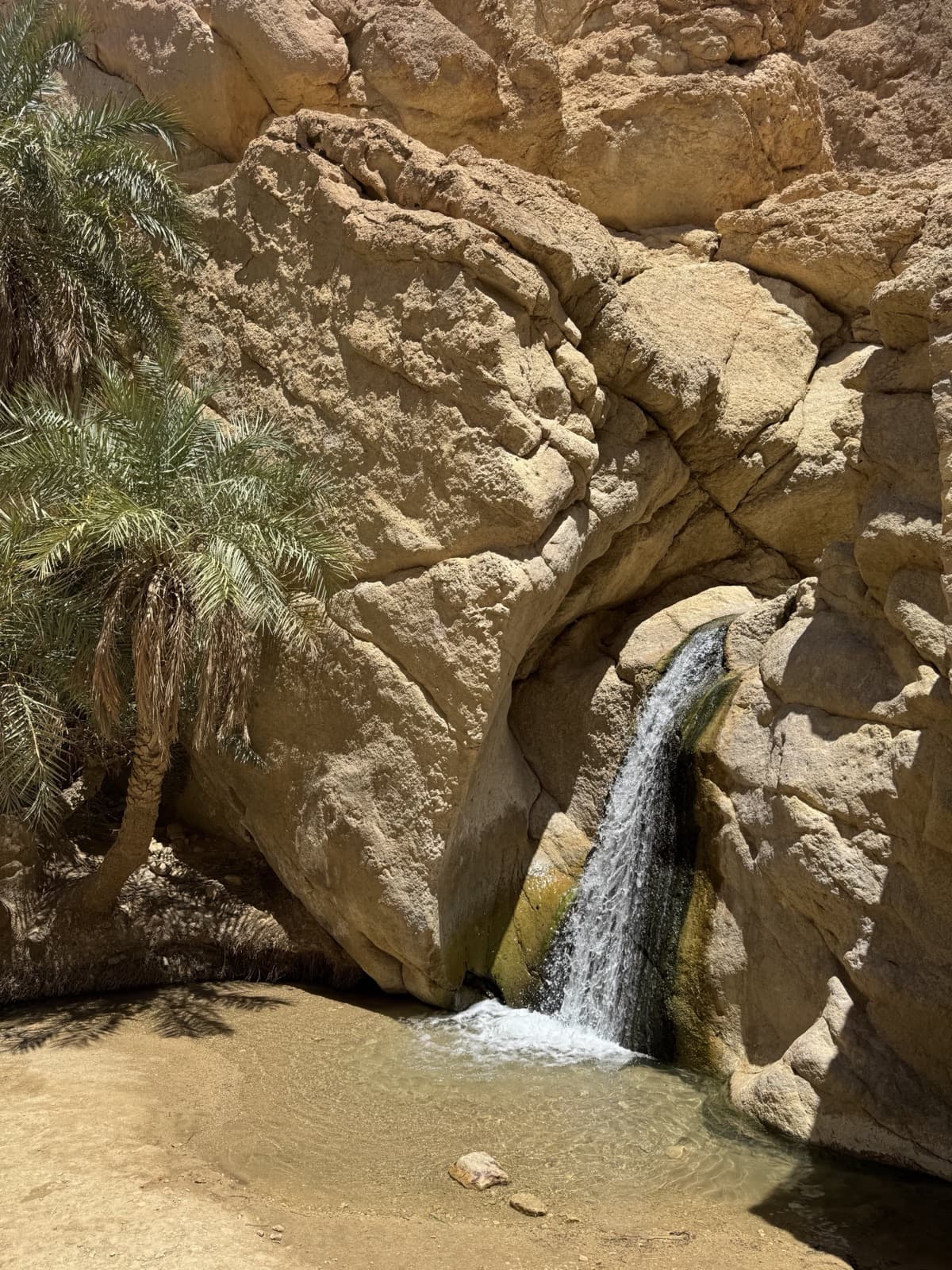 Chebika waterfall