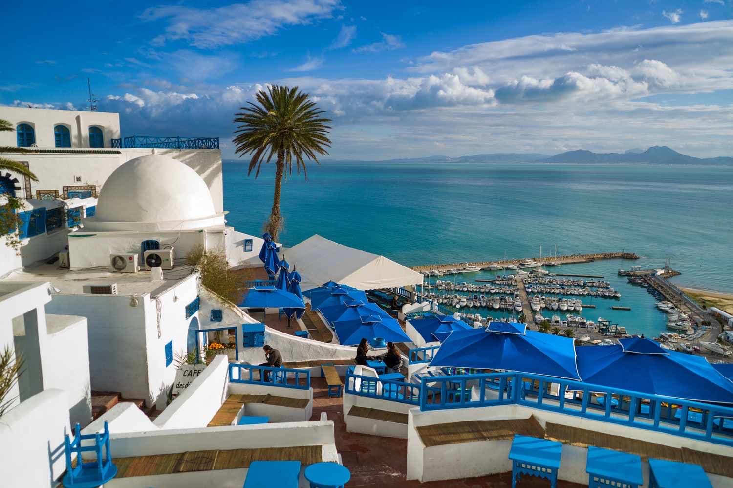 Sidi Bou Saïd terrace overlooking the marina